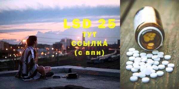 ГАЛЛЮЦИНОГЕННЫЕ ГРИБЫ Абаза