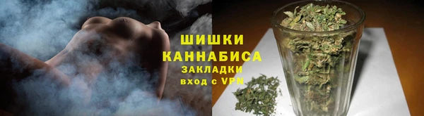 ГАЛЛЮЦИНОГЕННЫЕ ГРИБЫ Абаза