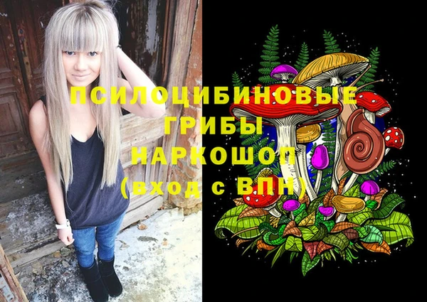 мдпв Абдулино