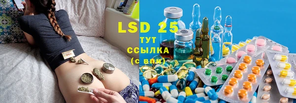 ГАЛЛЮЦИНОГЕННЫЕ ГРИБЫ Абаза