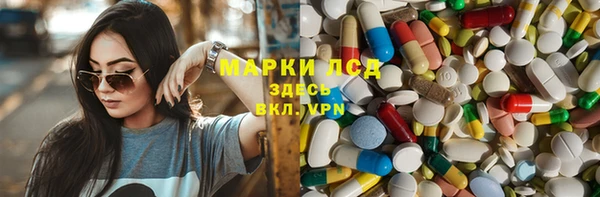 ГАЛЛЮЦИНОГЕННЫЕ ГРИБЫ Абаза
