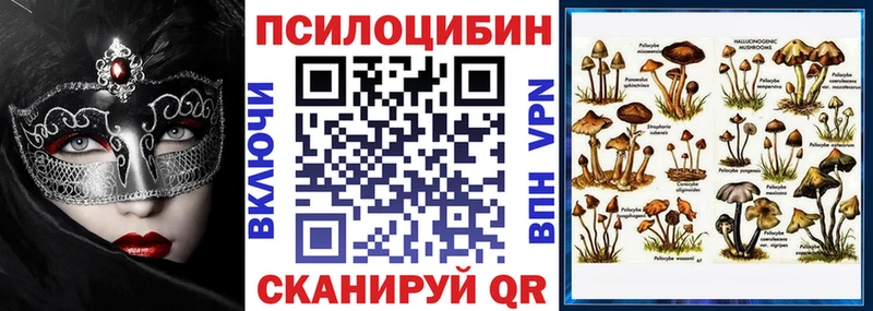 Галлюциногенные грибы Psilocybe  купить  сайты  Вилюйск 